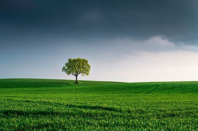 Cessione di ramo di azienda