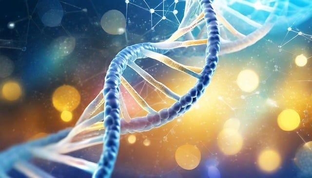 Riflessioni in ordine sparso sulle capacità distintive, sui fattori critici di successo e non solo