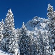 tyrol